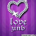 love zinb